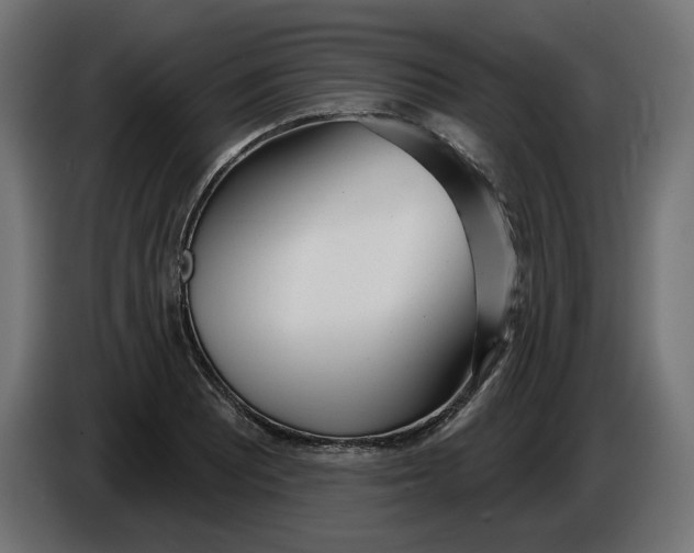 X0000086101081200704132142
