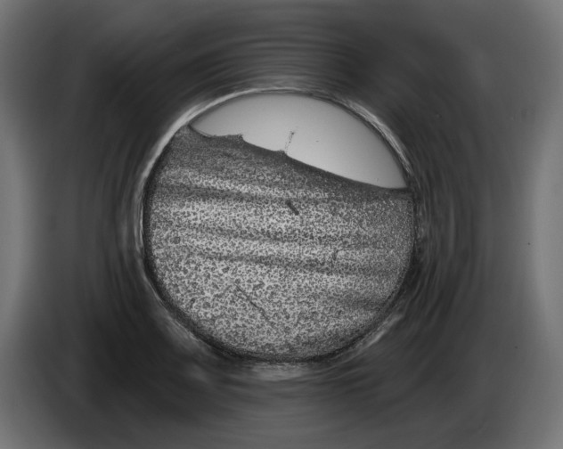X0000086101083200704132142