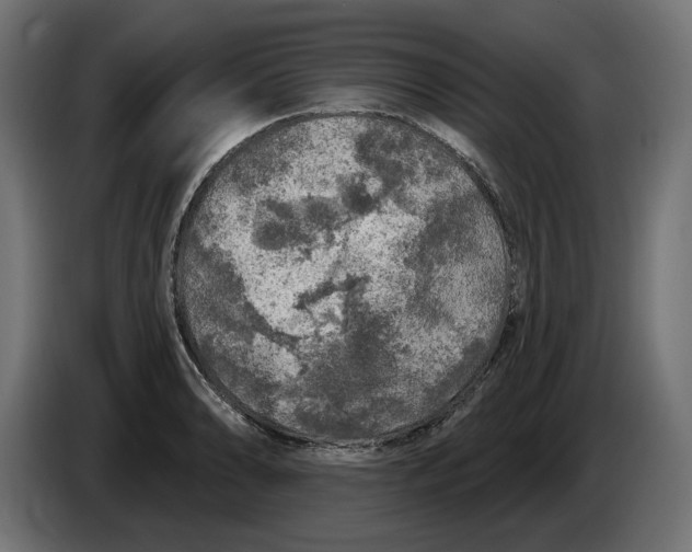 X0000086101086200704132142