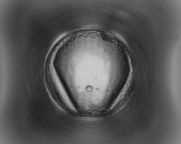 X0000086101087200704132142