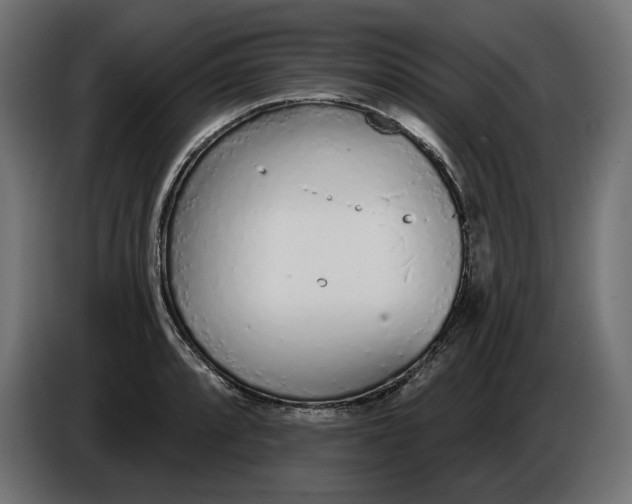 X0000086101088200704132142