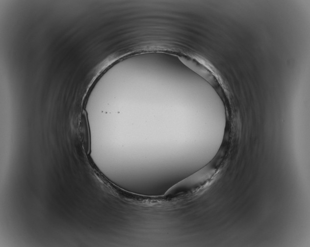 X0000086101089200704132142
