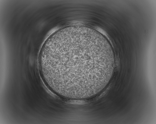 X0000086101090200704132142