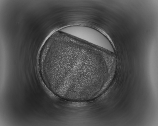 X0000086101091200704132142