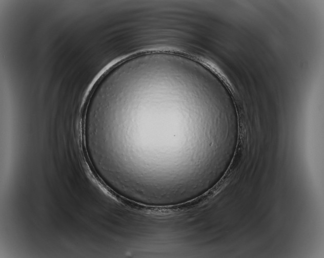 X0000086101092200704132142