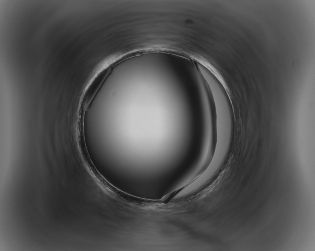 X0000086101093200704132142