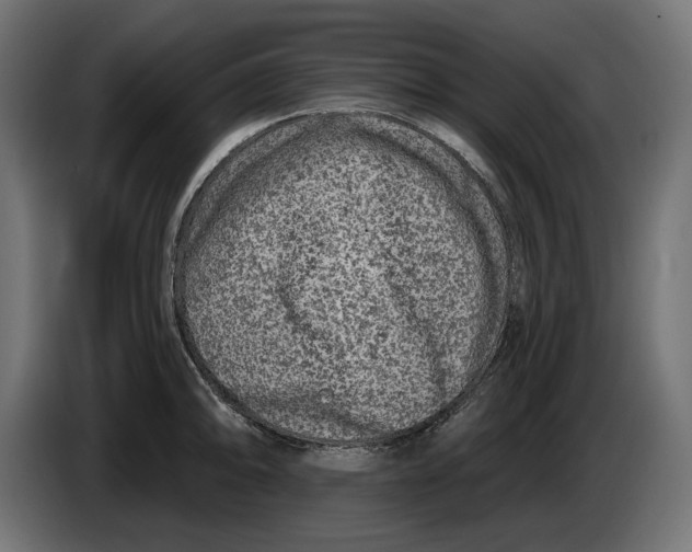 X0000086101094200704132142
