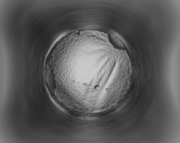 X0000086101095200704132142