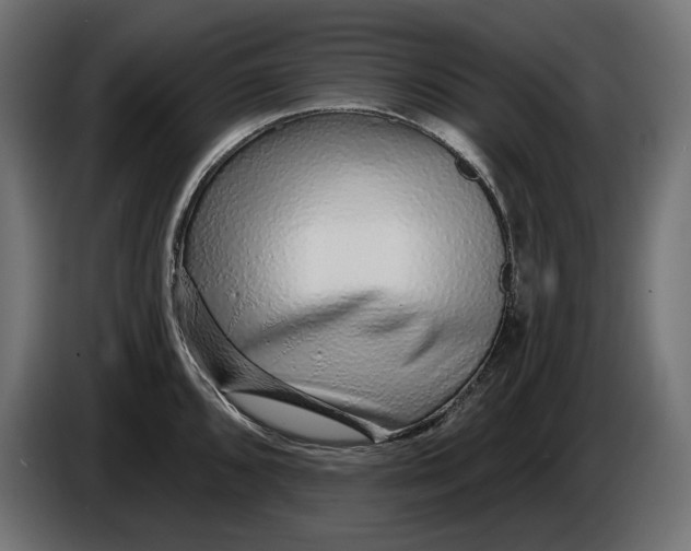 X0000086101096200704132142