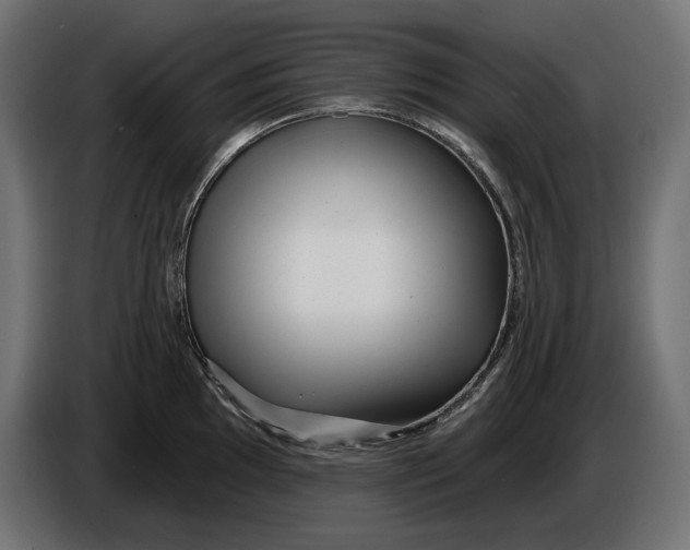 X0000086101097200704132142