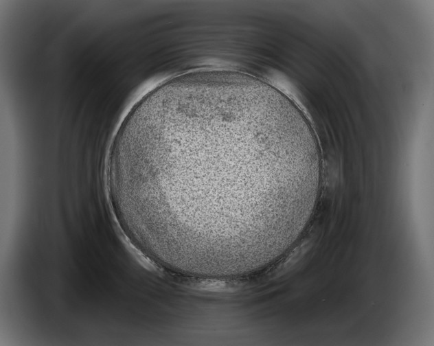 X0000086101098200704132142