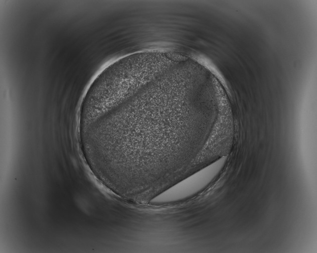 X0000086101099200704132142