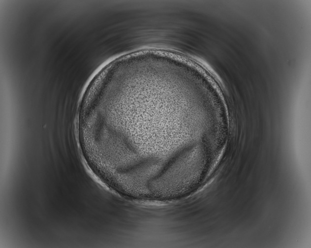 X0000086101100200704132142