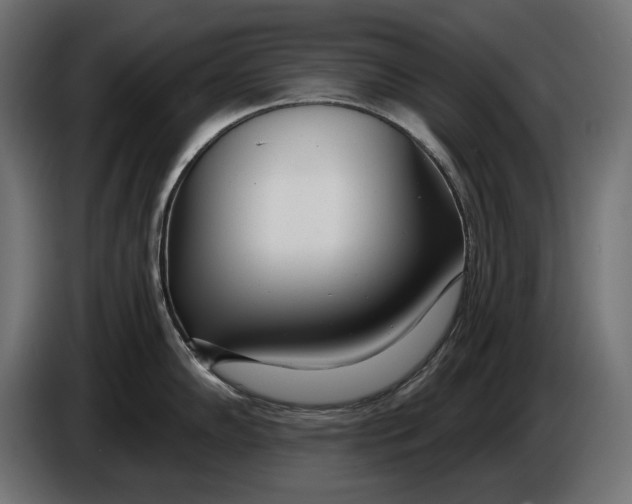 X0000086101102200704132142