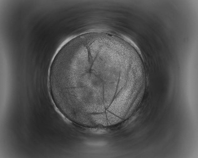 X0000086101103200704132142