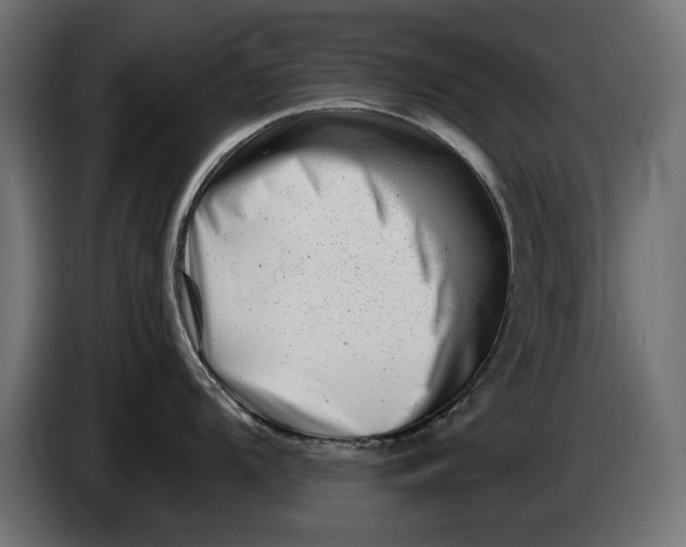 X0000086101104200704132142