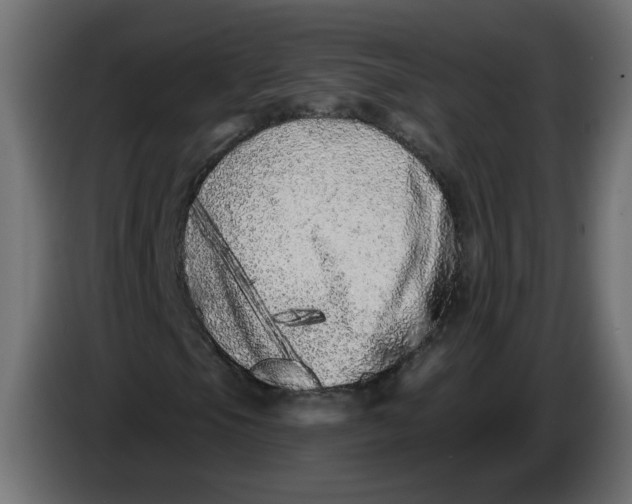X0000086101105200704132141