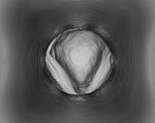 X0000086101106200704132141