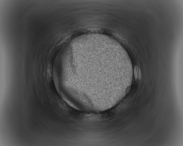 X0000086101107200704132141