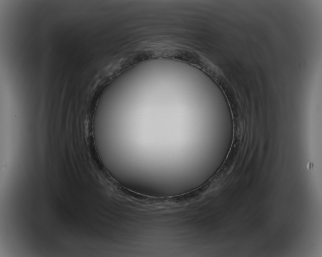 X0000086101108200704132141