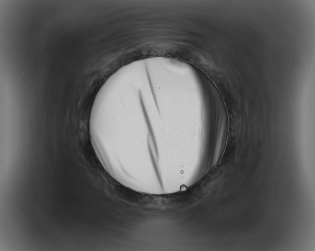 X0000086101109200704132141