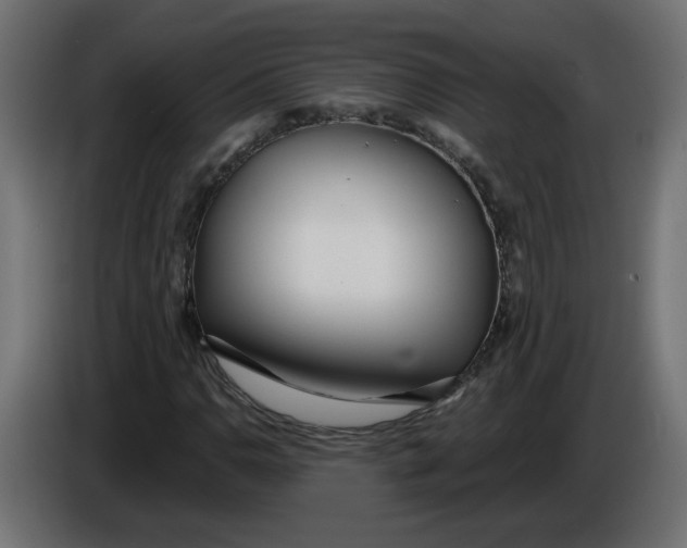 X0000086101110200704132141