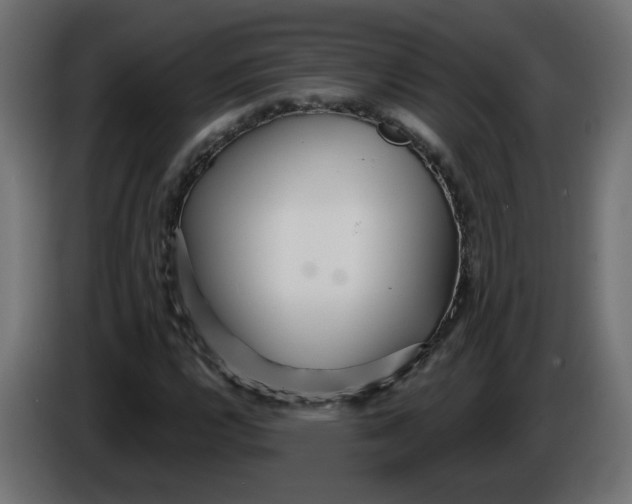 X0000086101112200704132141