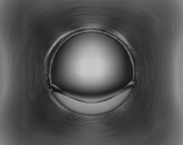 X0000086101116200704132141