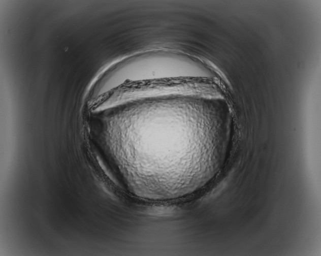 X0000086101117200704132141