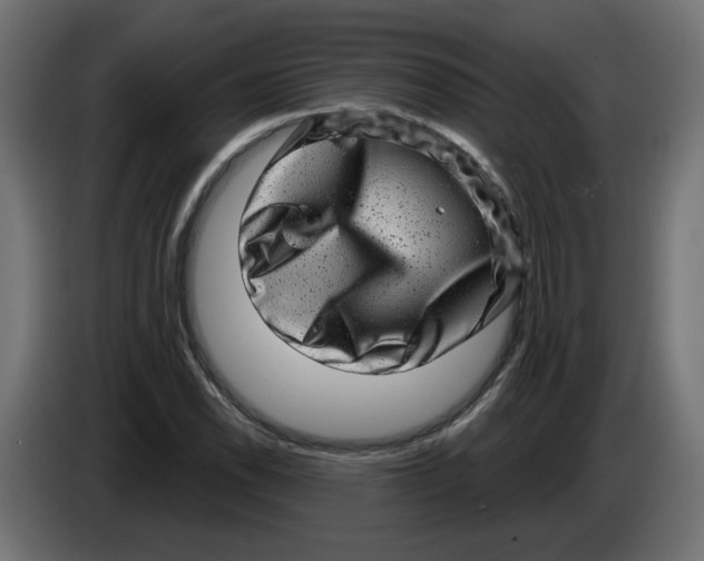 X0000086101118200704132141