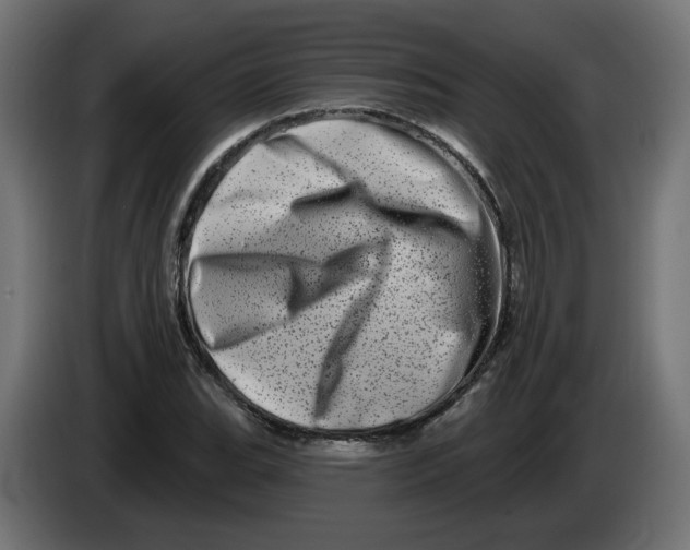 X0000086101119200704132141