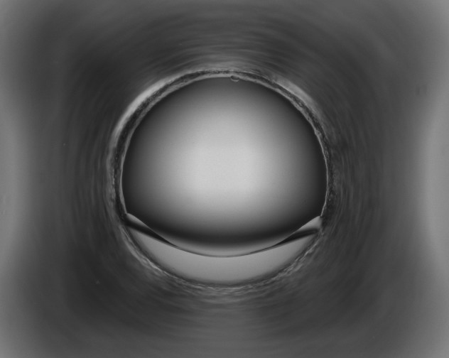 X0000086101120200704132141