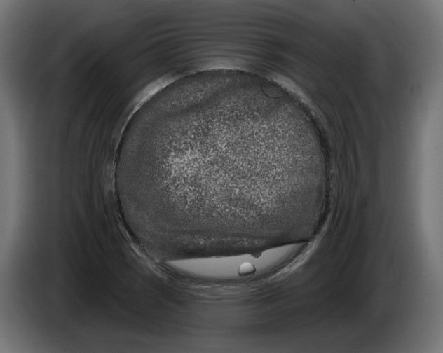 X0000086101121200704132141