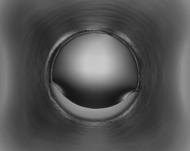 X0000086101122200704132141