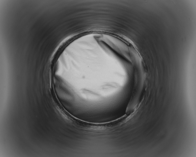 X0000086101123200704132141