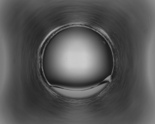 X0000086101124200704132141