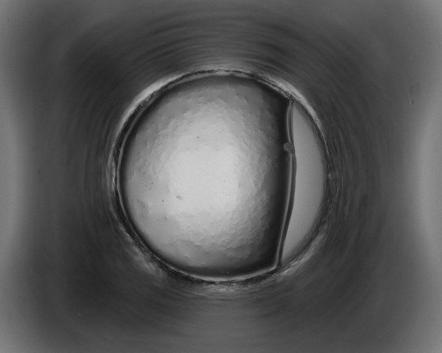 X0000086101125200704132141