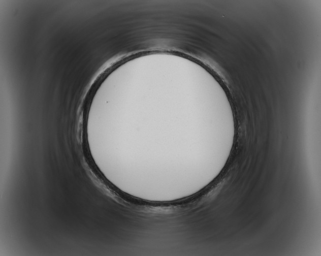 X0000086101126200704132141