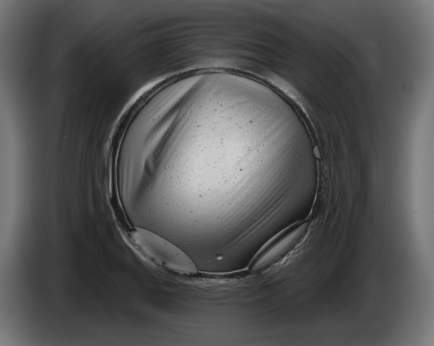 X0000086101127200704132141