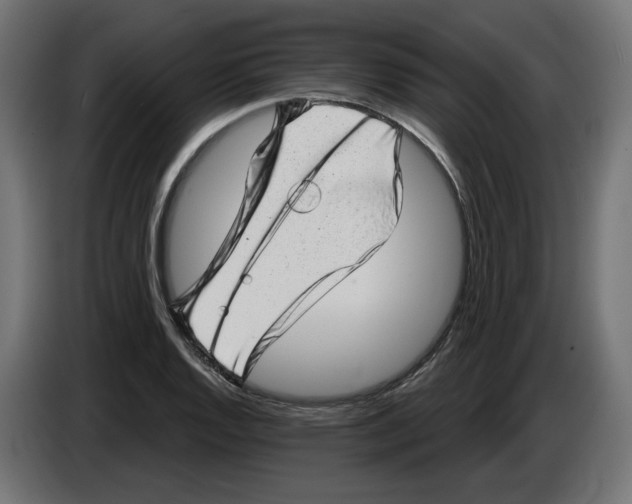 X0000086101128200704132141