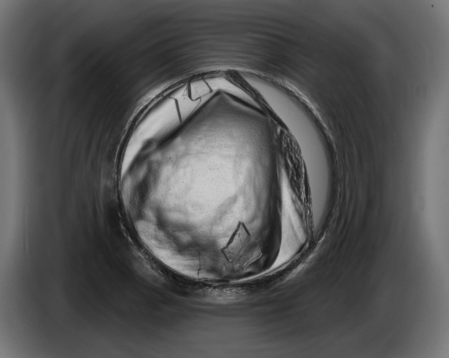 X0000086101129200704132141