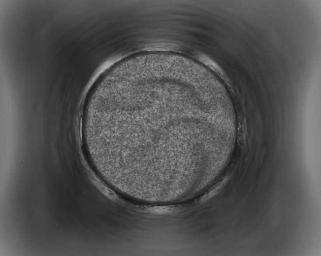 X0000086101130200704132141