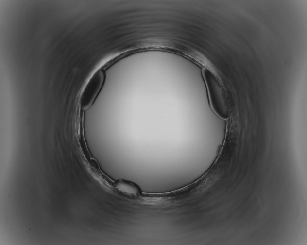 X0000086101132200704132141