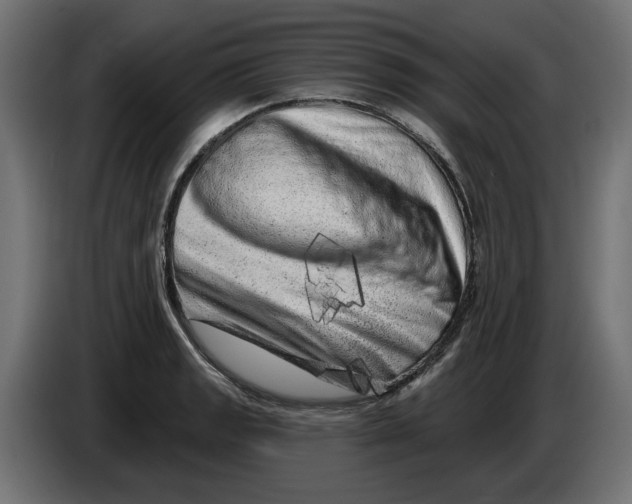 X0000086101133200704132142