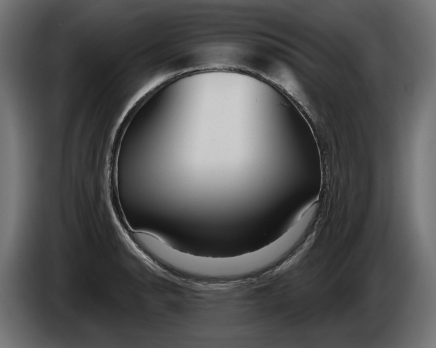 X0000086101134200704132142