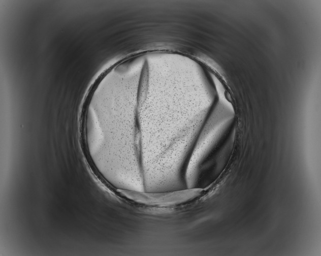 X0000086101135200704132142