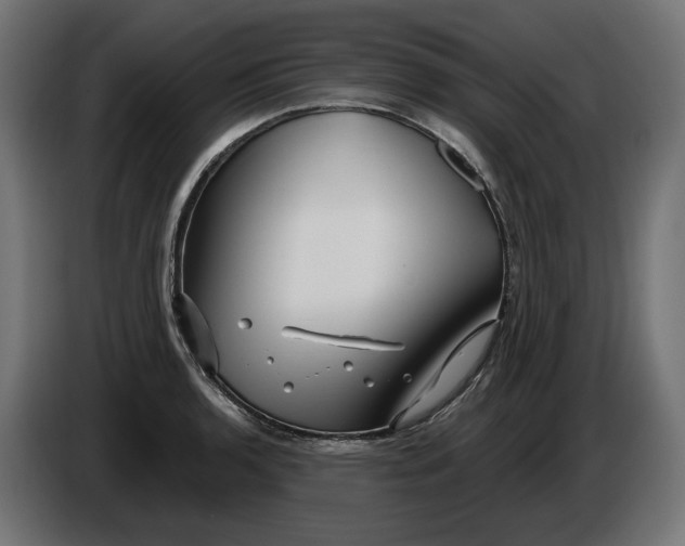 X0000086101136200704132142