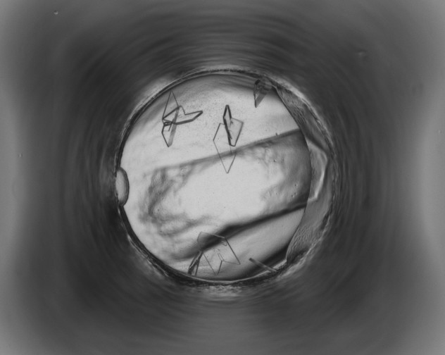 X0000086101137200704132142