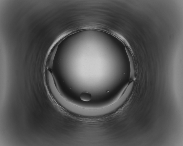 X0000086101138200704132142