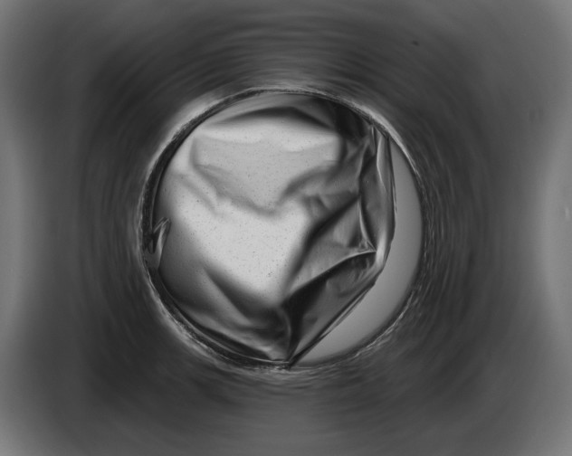 X0000086101139200704132142